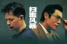 腾讯视频 扫毒风暴 (2025) 4K 全33集 国语中字 IMDB: 8.2 段奕宏 秦昊 于文文