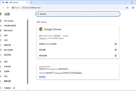 谷歌浏览器Google Chrome v138.0.7204.169 便携增强版