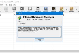 IDM下载器(Internet Download Manager) v6.42.41 中文绿色版