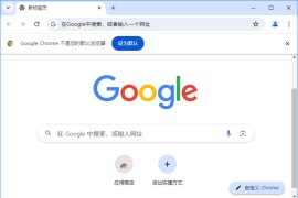 谷歌浏览器Google Chrome v138.0.7204.169 官方正式版