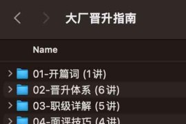 大厂晋升指南