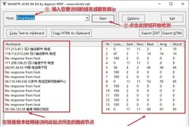 WinMTR(路由跟踪测试工具) v0.98 汉化绿色版