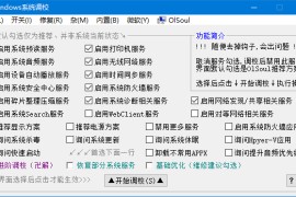 Windows 系统调校 2025.07.03 中文绿色版