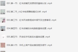 小红书高级电商课程，新手小白实操教学