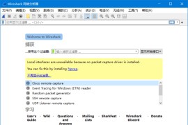 Wireshark中文版(网络抓包工具) v4.4.8 多语便携版