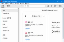Adobe Acrobat Pro DC v2025.001.20577 破解版 32位 & 64位