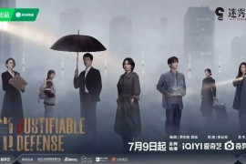 正当防卫 (2025) 4K 全15集 国语中字 高叶 张鲁一 白敬亭 张歆艺
