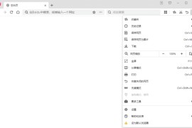 360极速浏览器X版 v22.3.3195.0 绿色便携版